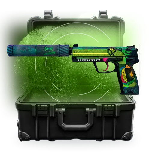 Случайный USP-S